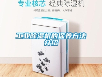 企業(yè)新聞工業(yè)除濕機(jī)的保養(yǎng)方法介紹