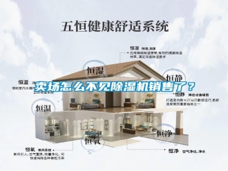 常見問題賣場怎么不見除濕機(jī)銷售了？