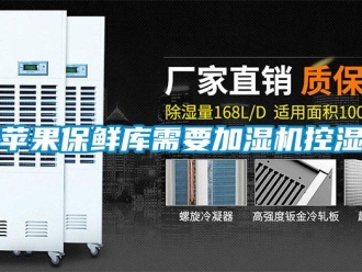 行業(yè)新聞蘋果保鮮庫需要加濕機(jī)控濕