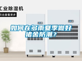 常見問題如何在多雨夏季做好豬舍防潮？