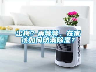 常見問題出梅？再等等，在家該如何防潮除濕？