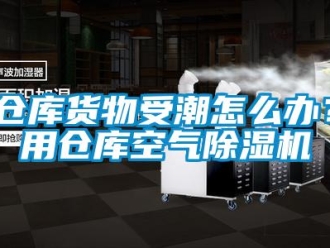 企業(yè)新聞倉(cāng)庫(kù)貨物受潮怎么辦？用倉(cāng)庫(kù)空氣除濕機(jī)