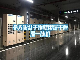 企業(yè)新聞冬天粉絲干燥就用烘干除濕一體機(jī)
