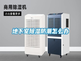 常見問題地下室除濕防潮怎么辦