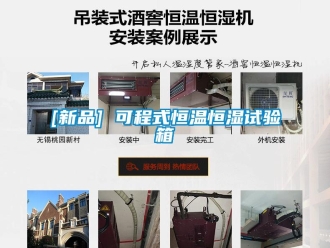 常見問題[新品] 可程式恒溫恒濕試驗箱