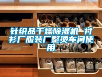 知識(shí)百科針織品干燥除濕機(jī) 襯衫廠服裝廠整燙車(chē)間使用