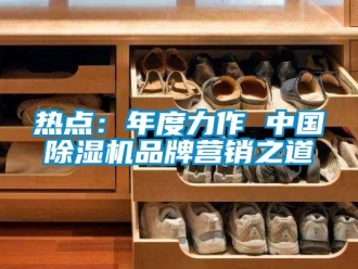行業(yè)新聞熱點(diǎn)：年度力作 中國除濕機(jī)品牌營銷之道