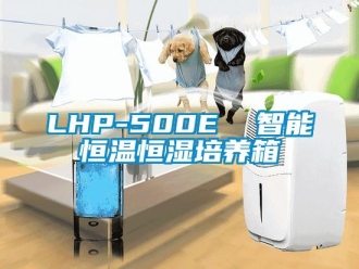 常見問題LHP-500E  智能恒溫恒濕培養(yǎng)箱