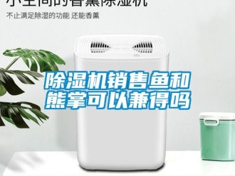 常見問題除濕機(jī)銷售魚和熊掌可以兼得嗎