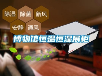知識(shí)百科博物館恒溫恒濕展柜