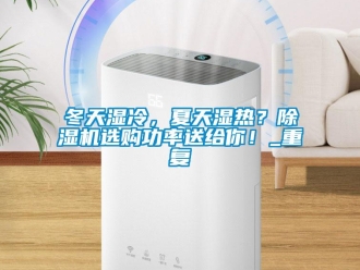 行業(yè)新聞冬天濕冷，夏天濕熱？除濕機選購功率送給你！_重復(fù)