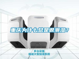 知識百科重慶為什么總是很潮濕？