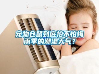 企業(yè)新聞寵物倉鼠到底怕不怕梅雨季的潮濕天氣？