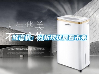 常見問題除濕機(jī)：分析現(xiàn)狀展看未來